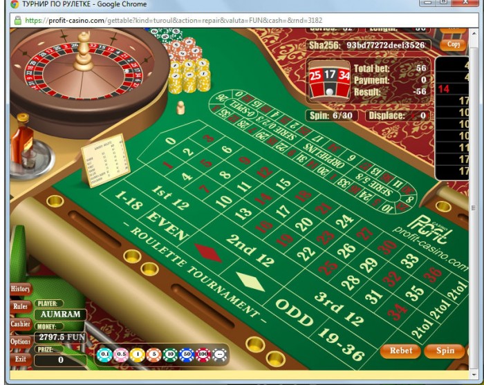 Online Casino Profit